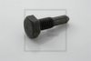 PE Automotive 046.060-00A Screw